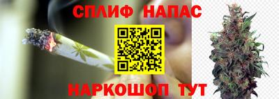 стаф Аша