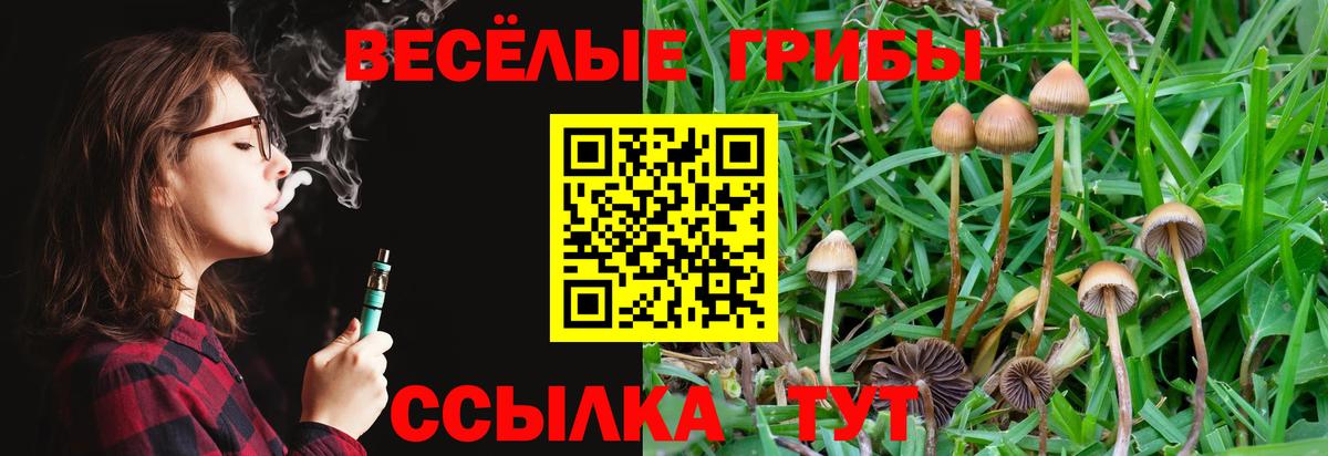Галлюциногенные грибы мухоморы Кашира