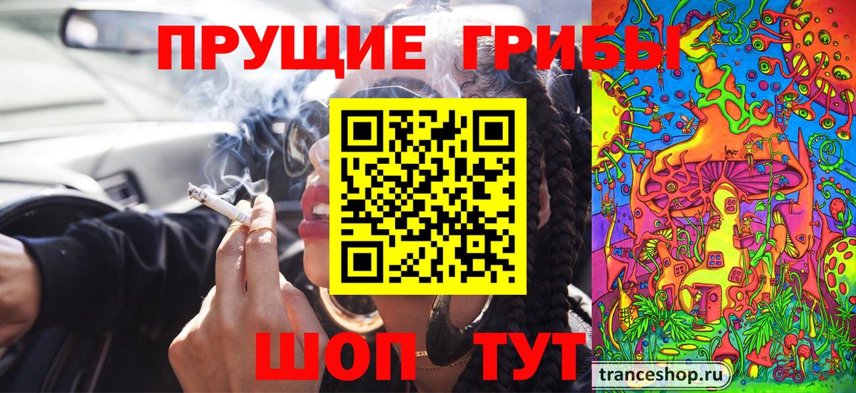 Кашира  Галлюциногенные грибы Psilocybe  Вход с VPN 
